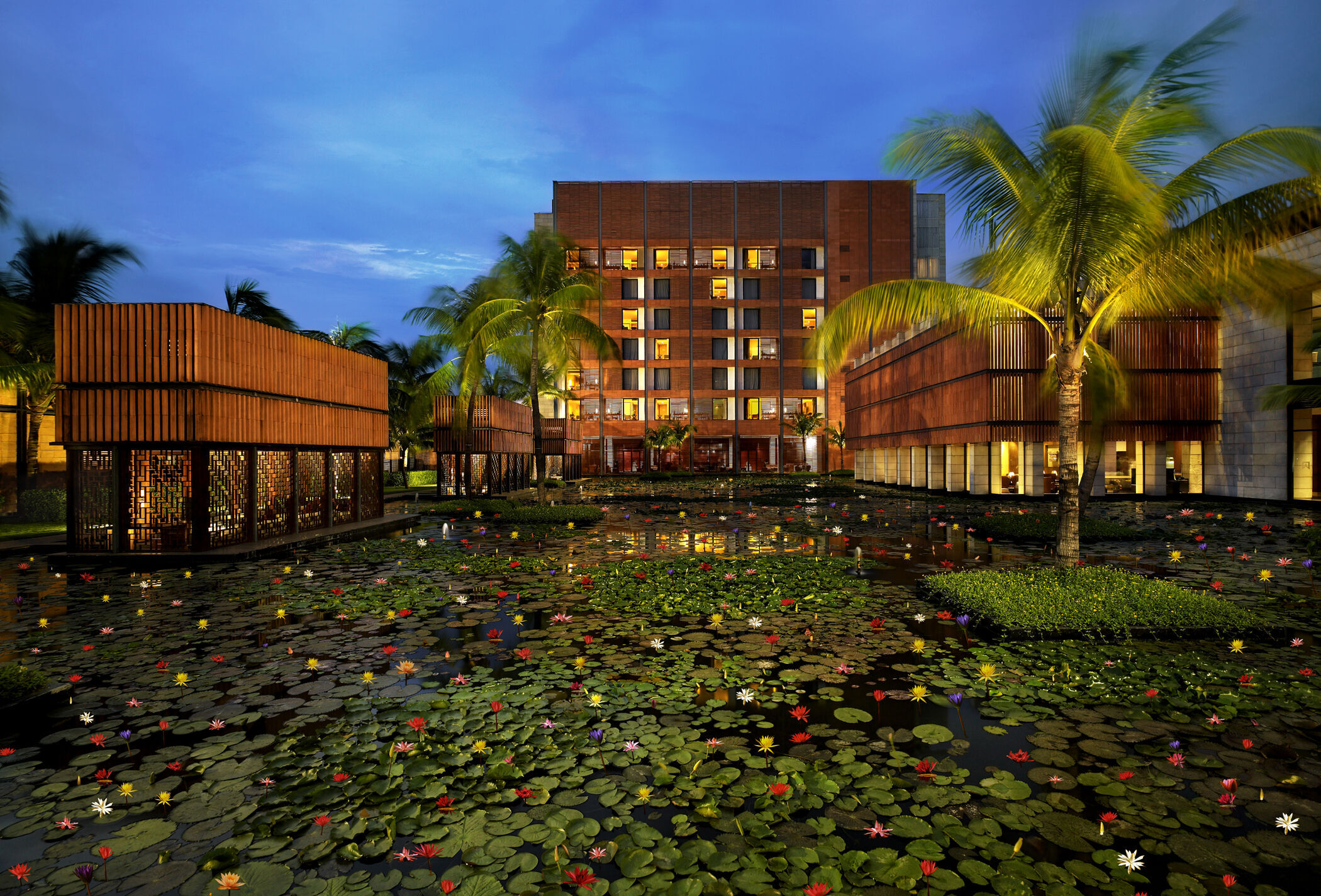 Lily Pond